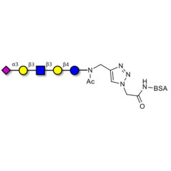 LS-Tetrasaccharide a (LSTa)  grafted on BSA (Linker-BSA B)