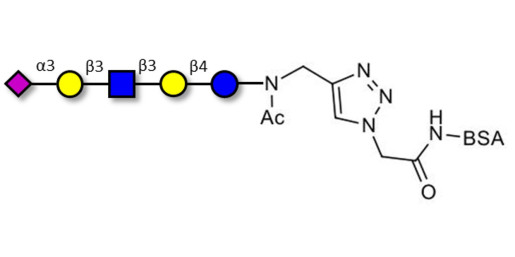 LS-Tetrasaccharide a (LSTa)  grafted on BSA (Linker-BSA B) - Sialyl-lacto-N-tetraose a ; SLNT-a