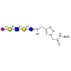 LS-Tetrasaccharide d (LSTd)  grafted on BSA (Linker-BSA B)