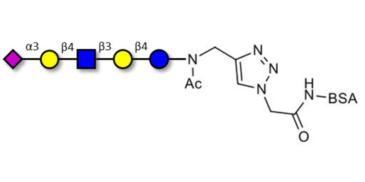 LS-Tetrasaccharide d (LSTd)  grafted on BSA (Linker-BSA B) - Sialyl-lacto-N-neotetraose d ; SLNnT-d