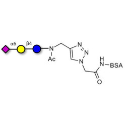 2,6'-Sialyllactose (6'-SL) grafted on BSA (Linker-BSA B)