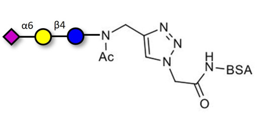 2,6'-Sialyllactose (6'-SL) grafted on BSA (Linker-BSA B) - 6'-SL ; N-Acetylneuramin-lactose