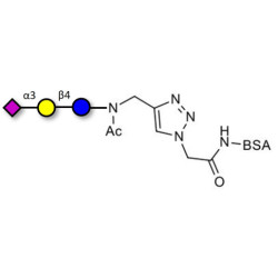 3'-Sialyllactose (3'-SL) / GM3 Ganglioside oligosaccharide grafted on BSA (Linker-BSA B)
