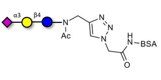 3'-Sialyllactose (3'-SL) / GM3 Ganglioside oligosaccharide grafted on BSA (Linker-BSA B) - 3'SL; N-Acetylneuraminoyllactose; (2, 3')-a-Sialyllactose; 3'-a-Sialyllactose; a-Neu5Ac-(2-3)-/3-D. Gal-(1-4)-D-Glc; 3'-N-Acetylneuraminyl-D-lactose