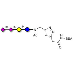 GD3 Ganglioside oligosaccharide / Disialyl lactose (DSL) grafted on BSA (Linker-BSA B)