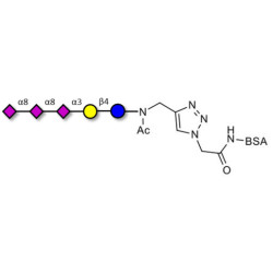 GT3 Ganglioside oligosaccharide grafted on BSA (Linker-BSA B)
