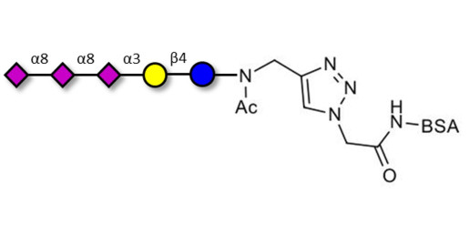 GT3 Ganglioside oligosaccharide grafted on BSA (Linker-BSA B) - Trisialyl lactose 