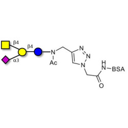 GM2 Ganglioside oligosaccharide grafted on BSA (Linker-BSA B)