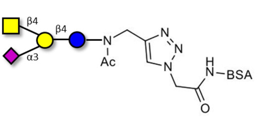 GM2 Ganglioside oligosaccharide grafted on BSA (Linker-BSA B)