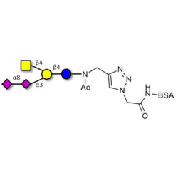 GD2 Ganglioside oligosaccharide grafted on BSA (Linker-BSA B)