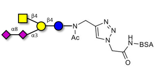 GD2 Ganglioside oligosaccharide grafted on BSA (Linker-BSA B)