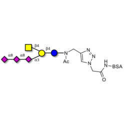 GT2 Ganglioside oligosaccharide grafted on BSA (Linker-BSA B)