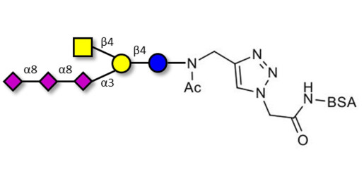 GT2 Ganglioside oligosaccharide grafted on BSA (Linker-BSA B)