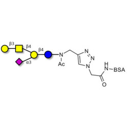 GM1a Ganglioside oligosaccharide grafted on BSA (Linker-BSA B)