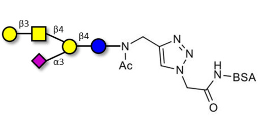 GM1a Ganglioside oligosaccharide grafted on BSA (Linker-BSA B)