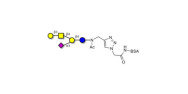 GM1a Ganglioside...