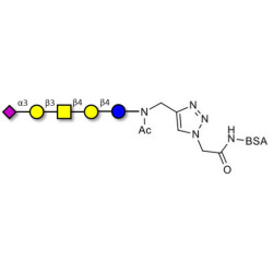 GM1b Ganglioside oligosaccharide grafted on BSA (Linker-BSA B)