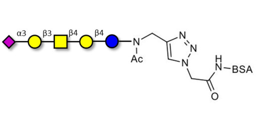 GM1b Ganglioside oligosaccharide grafted on BSA (Linker-BSA B)