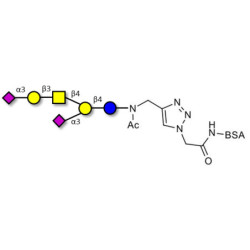 GD1a Ganglioside oligosaccharide grafted on BSA (Linker-BSA B)