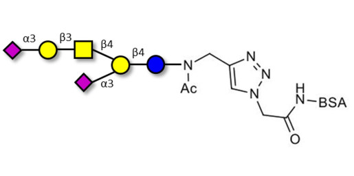 GD1a Ganglioside oligosaccharide grafted on BSA (Linker-BSA B)