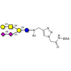 GD1b Ganglioside oligosaccharide grafted on BSA (Linker-BSA B)