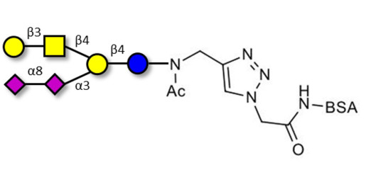 GD1b Ganglioside oligosaccharide grafted on BSA (Linker-BSA B)