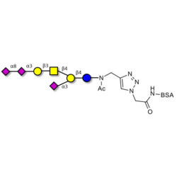 GT1a Ganglioside oligosaccharide grafted on BSA (Linker-BSA B)