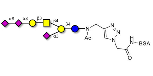 GT1a Ganglioside oligosaccharide grafted on BSA (Linker-BSA B)