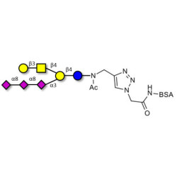 GT1c Ganglioside oligosaccharide grafted on BSA (Linker-BSA B)