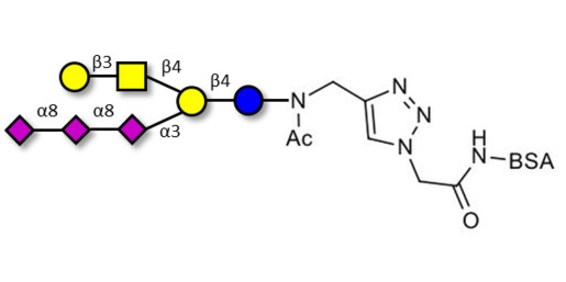 GT1c Ganglioside oligosaccharide grafted on BSA (Linker-BSA B)