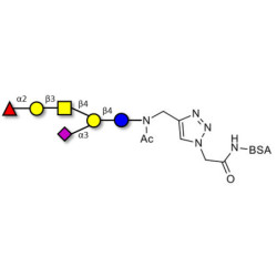 Fucosyl GM1 Ganglioside oligosaccharide grafted on BSA (Linker-BSA B)