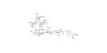 Fucosyl GM1 Ganglioside oligosaccharide grafted on BSA (Linker-BSA B)
