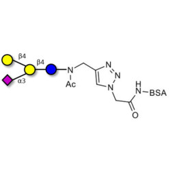 GM2 Ganglioside oligosaccharide analogue grafted on BSA (Linker-BSA B)