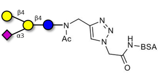 GM2 Ganglioside oligosaccharide analogue grafted on BSA (Linker-BSA B)