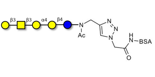 Globopentaose (Gb5) / Stage Specific Embryonic Antigen 3a (SSEA-3a) grafted on BSA (Linker-BSA B)