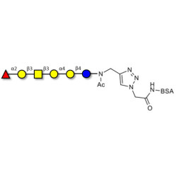 Globo-H hexaose / Stage Specific Embryonic Antigen 3b (SSEA-3b) grafted on BSA (Linker-BSA B)