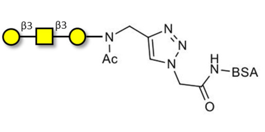 Core type 4 (Gb5 triose core structure) grafted on BSA (Linker-BSA B)