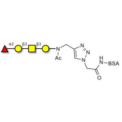 Blood group H antigen tetraose type 4 grafted on BSA (Linker-BSA B)