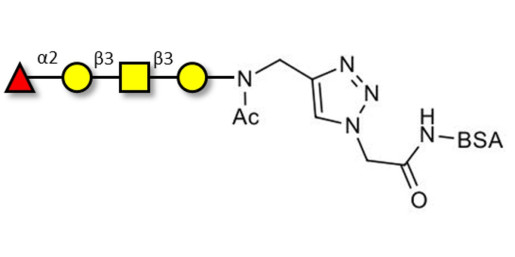 Blood group H antigen tetraose type 4 grafted on BSA (Linker-BSA B)
