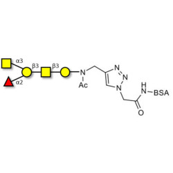Blood group A antigen pentaose type 4 grafted on BSA (Linker-BSA B)