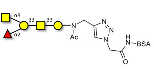 Blood group A antigen pentaose type 4 grafted on BSA (Linker-BSA B) - Blood group A antigen pentaose type IV; Blood group A antigen pentasaccharide type IV; Blood group A antigen pentasaccharide type 4; A-pentasaccharide type 4