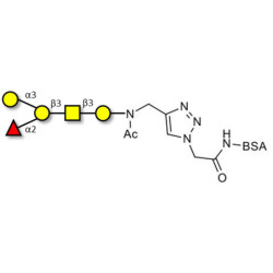 Blood group B antigen pentaose type 4 grafted on BSA (Linker-BSA B)