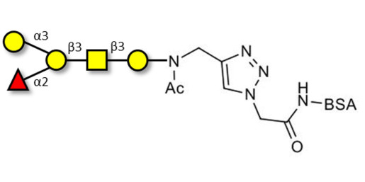 Blood group B antigen pentaose type 4 grafted on BSA (Linker-BSA B)