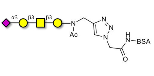 Stage-Specific Embryonic Antigen-4 tetraose (SSEA-4 tetraose) grafted on BSA (Linker-BSA B)