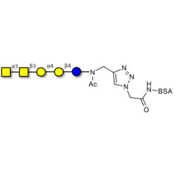 Forssman antigen pentaose grafted on BSA (Linker-BSA B)