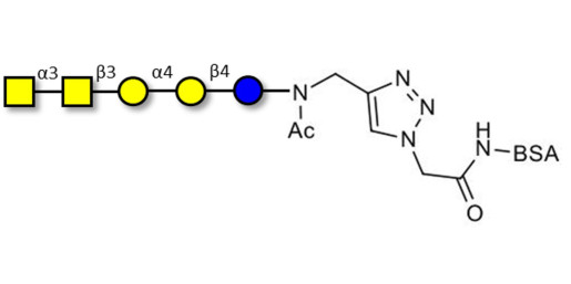 Forssman antigen pentaose grafted on BSA (Linker-BSA B)
