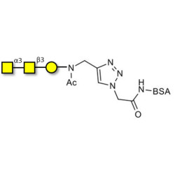 Forssman antigen triose grafted on BSA (Linker-BSA B)