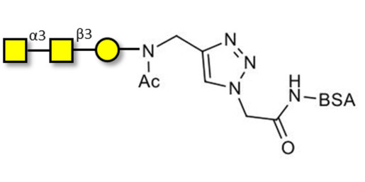 Forssman antigen triose grafted on BSA (Linker-BSA B)