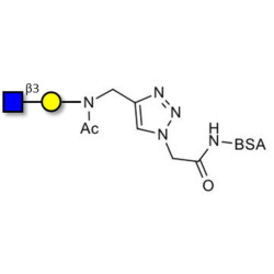GlcNAcβ1-3Gal grafted on BSA (Linker-BSA B)