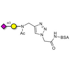 GM4 Ganglioside oligosaccharide grafted on BSA (Linker-BSA B)